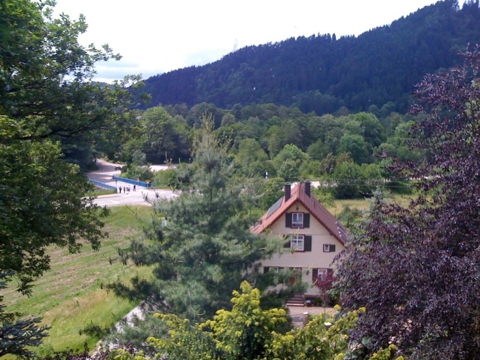 “Tradition trifft Genuss:Exklusives Restaurant mit Wohnungen in Schenkenzell – Die Schenkenburg“ in Schenkenzell