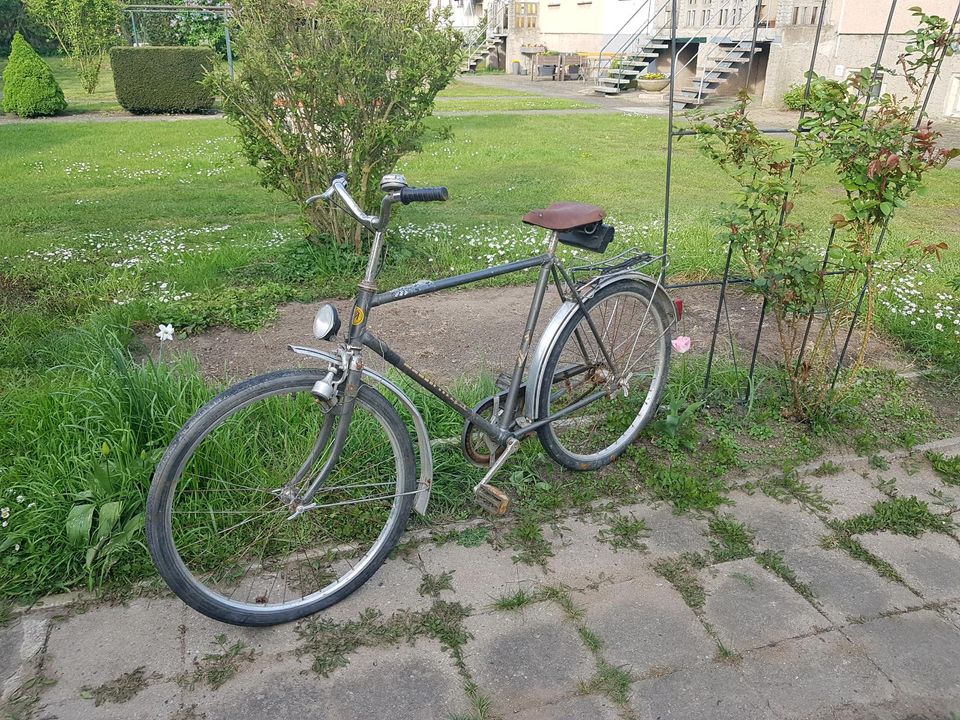 Herrenfahrrad, Mifa, DDR, 26er, Sangerhausen in Prenzlau