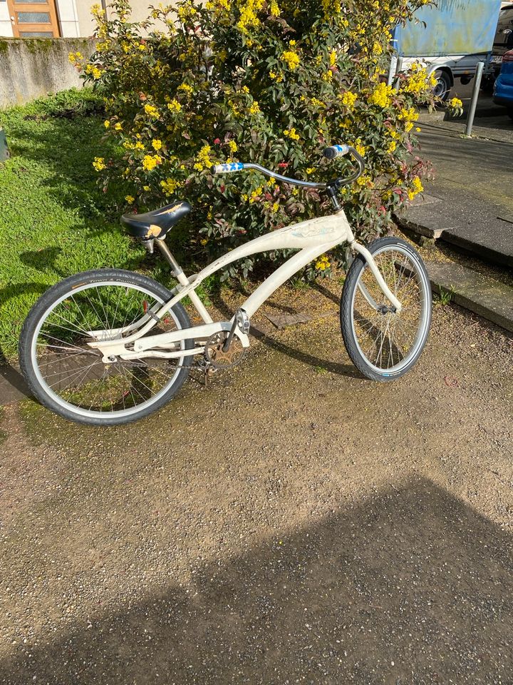 Fahrrad / beachcruiser in Köln