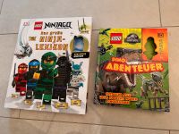 Ninjago Lexikon und Jurassic World Lexikon Bücher Wandsbek - Hamburg Rahlstedt Vorschau