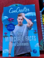 Con Crafter Minecraft - Facts Niedersachsen - Bramsche Vorschau