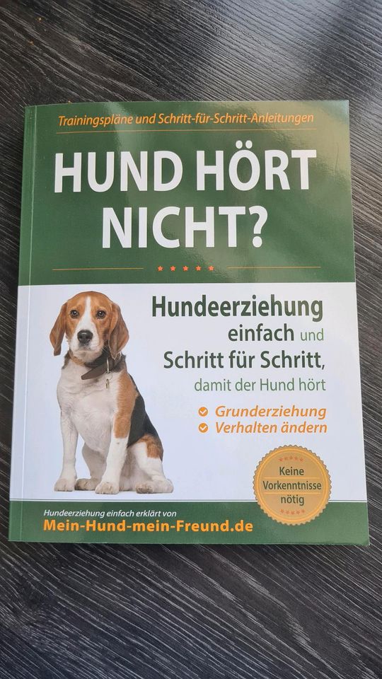 Hundeerziehung in Hohenaspe