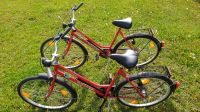 RAGAZZI Generation Fahrrad Herren Damen City bike Bayern - Simbach Vorschau