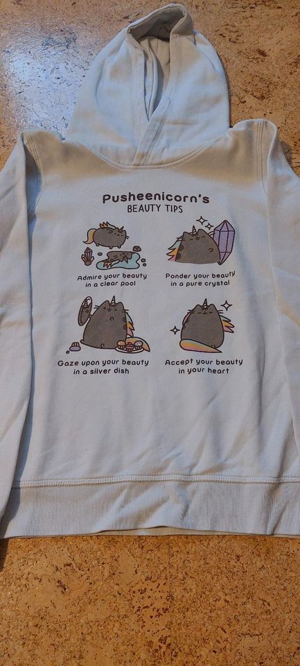 Pusheen Cat Pullover, H&M, Größe 170 in Schönebeck (Elbe)