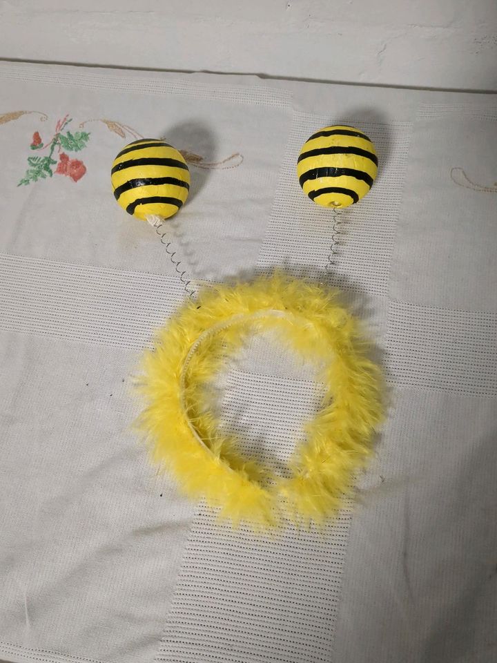 Hummel/Bienen Kostüm in Uchte