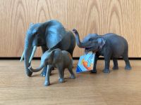 Schleich tiptoi - Elefantenfamilie Nordrhein-Westfalen - Everswinkel Vorschau