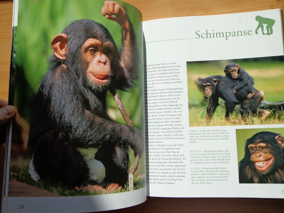 Großbildband "Tierkinder im Zoo", von Prof. Dr. Henning Wiesner . in Hoyerhagen