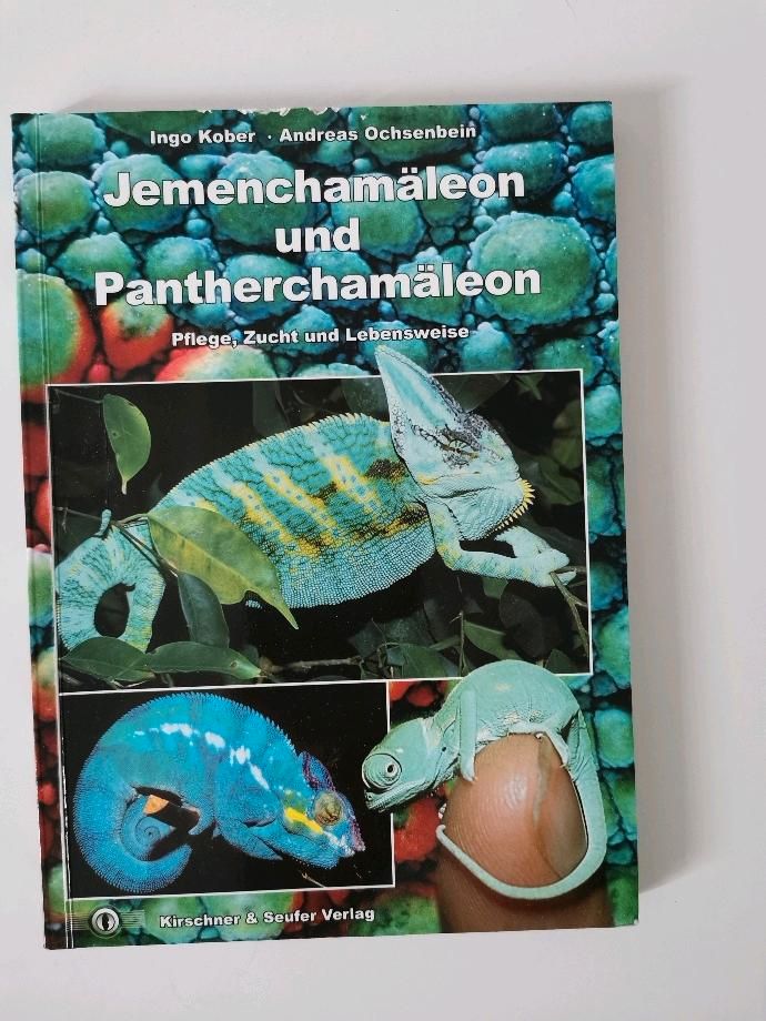 3 Bücher Chamäleon Haltung Terrarium Panther Jemen in Essen