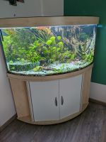 Aquarium 350l mit Unterschrank Sachsen - Neißeaue Vorschau
