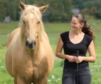 Pferdetraining, Pferdeosteopathie, Pferdephysiotherapie Saarland - Saarlouis Vorschau