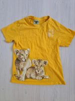 Löwenbaby T-Shirt Gr. 128 gelb Zoo Hannover Lion cubs Löwenbabies Niedersachsen - Wölpinghausen Vorschau