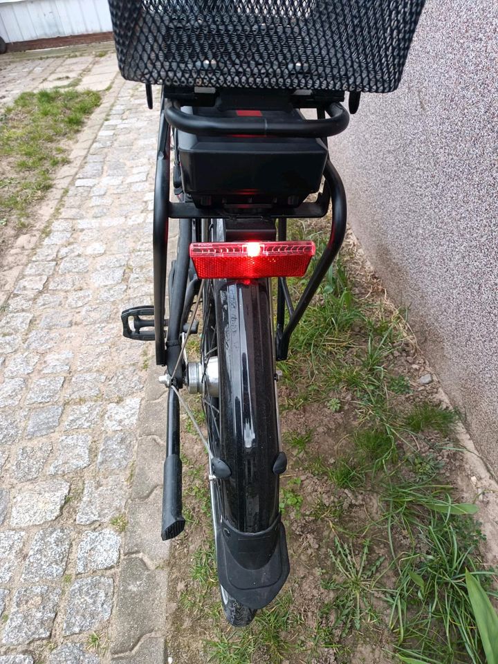 E-Bike Hercules Rocco Tour R in Werder (Havel)