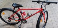 Fahrrad gut gebraucht Hessen - Rasdorf Vorschau