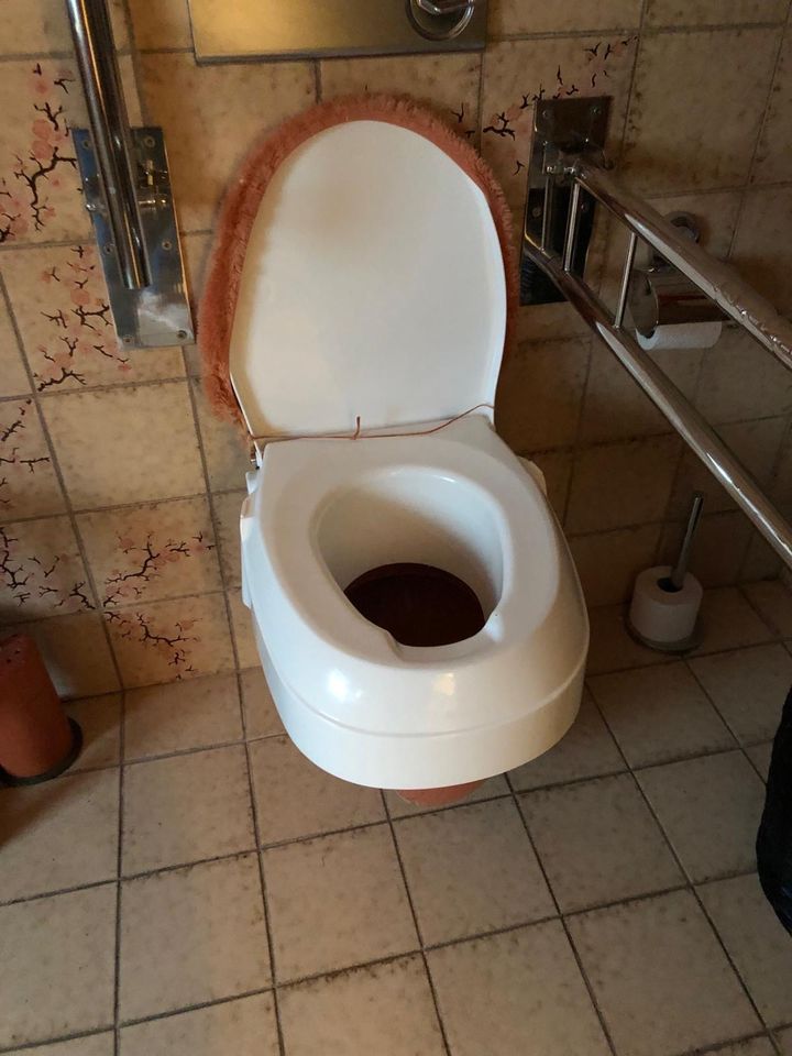 WC Sitz behindertengerecht mit Wandhaltegriffen in Koblenz