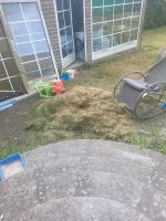 Getrockneter Rasen zu verschenken Häfen - Bremerhaven Vorschau