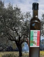 Olivenöl aus Sizilien [Catania] **Kein Massenprodukt** Baden-Württemberg - Neckartenzlingen Vorschau