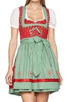 neu modernes Dirndl GR 36 rot komplett mit Bluse und Schürze Thüringen - Themar Vorschau