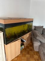 Aquarium für Fische Rheinland-Pfalz - Frankenthal (Pfalz) Vorschau