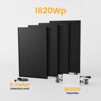 Mini Solaranlage 1620W Full Black Solarmodule/Hoymiles 1600W Wechselrichter mit 5 m Anschlusskabel-Berlin Berlin - Hohenschönhausen Vorschau