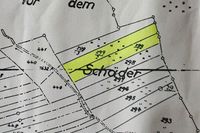 Landwirtschaftliche Nutzfläche Grünland Langelsheim/Wolfshagen Niedersachsen - Langelsheim Vorschau