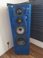 Focal Onyx High end im Originalzustand Schleswig-Holstein - Heilshoop Vorschau