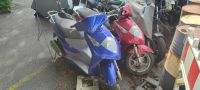 Honda SES125 Dylan 125 JF10 = ERSATZTEILE SES150 Dylan 150 KF05 Nordrhein-Westfalen - Werther (Westfalen) Vorschau