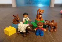 Lego Set Tiere Bauernhof 5646 und Tierärztin Niedersachsen - Gifhorn Vorschau