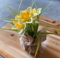 Künstliche Osterglocken Blumen zu verschenken Rheinland-Pfalz - Westheim Vorschau