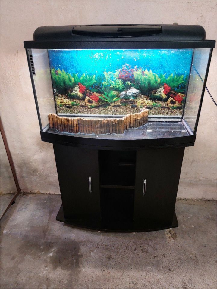 Aquarium  Panoramaoptik 100l mit unterschrank in Butzbach