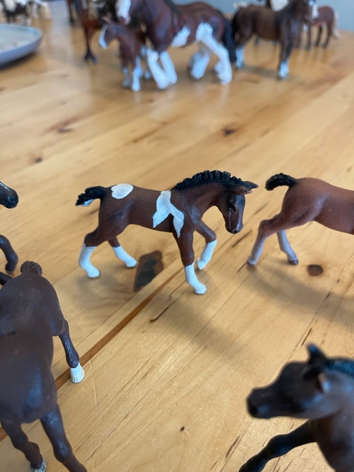 Schleich Fohlen Pferde in Düren