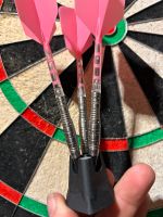 CyeeLife ZG12 Softdarts Hessen - Schwalmstadt Vorschau