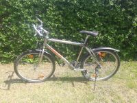 Mountainbike/Fahrrad Hessen - Dreieich Vorschau