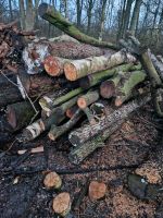Aktion‼️10 m³ feuerholz günstig zu verkaufen ‼️ Niedersachsen - Cuxhaven Vorschau