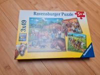 Puzzle Ravensburger 3x49 Teile 5+ Rheinland-Pfalz - Stebach Vorschau