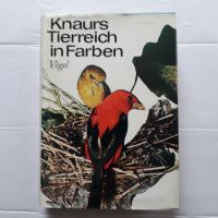 Tierreich in Farben - Vögel / Knaurs / Tierbuch Dortmund - Eving Vorschau