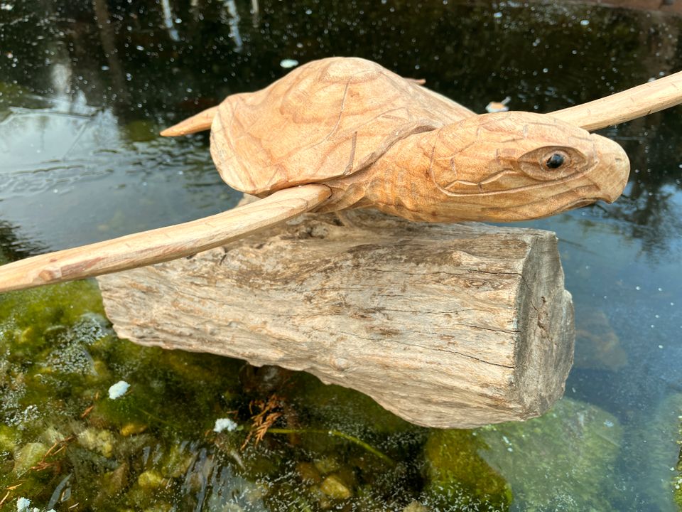 Schildkröte 60cm Meeresschildkröte Wasserschildkröte Holz in Essen