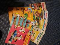 Comics Asterix und Lucky Luke Bayern - Hof (Saale) Vorschau