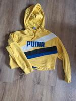 Hoodie Puma Nordrhein-Westfalen - Gevelsberg Vorschau