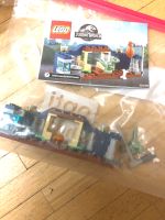 Lego Jurassic World 30382 komplett Dresden - Loschwitz Vorschau