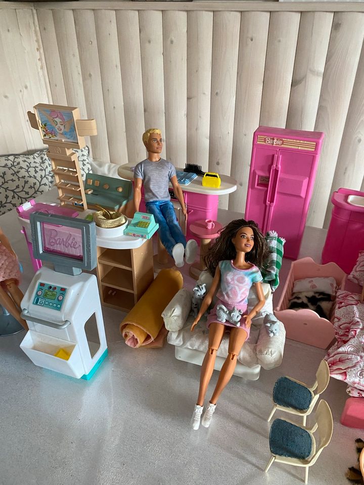 Barbie Spielhaus mit Zubehör in Hohenstein bei Nordhausen