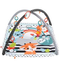 Baby -Activity-Decke Fisher-Price Hessen - Freiensteinau Vorschau