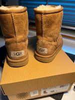 UGG Classic Stiefel Größe 27 Nordrhein-Westfalen - Paderborn Vorschau