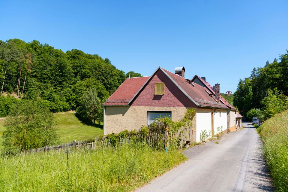 Wohnen in (fast) Alleinlage mit 1 Hektar Wald & Wiese - Naturnahes Einfamilienhaus zur Sanierung in Pössneck