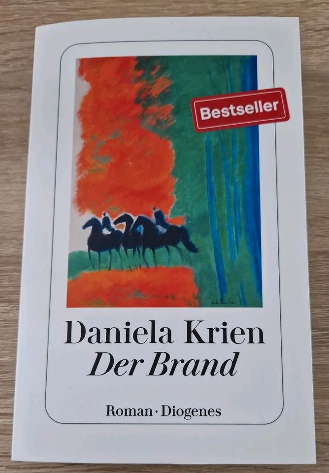 Daniela Krien Der Brand TB in Dresden
