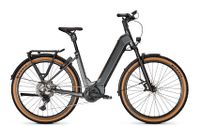 Kalkhoff EBike Fahrrad ENTICE 5 ADV+ 29WA Gr. M48 F BLK 625WH Bayern - Karlstein Vorschau