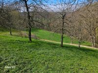 Weidefläche für Schaafe/Ziegen Baden-Württemberg - Künzelsau Vorschau