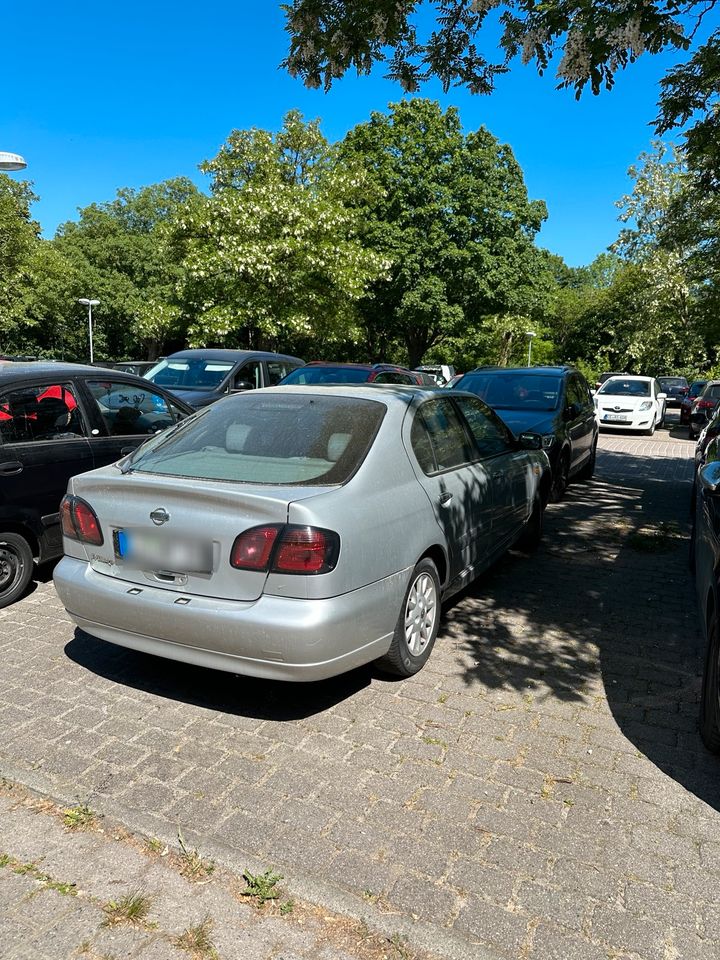 Nissan Primera in Adendorf