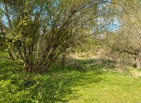 Wald- und Gartengrundstück in Plön Schleswig-Holstein - Plön  Vorschau