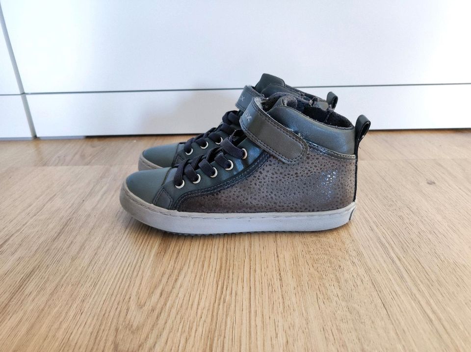 Geox Sneaker 31 grau Halbschuhe Kinderschuhe boots in Essen