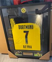 BVB Trikotrahmen Reyna Sachsen-Anhalt - Weißenfels Vorschau